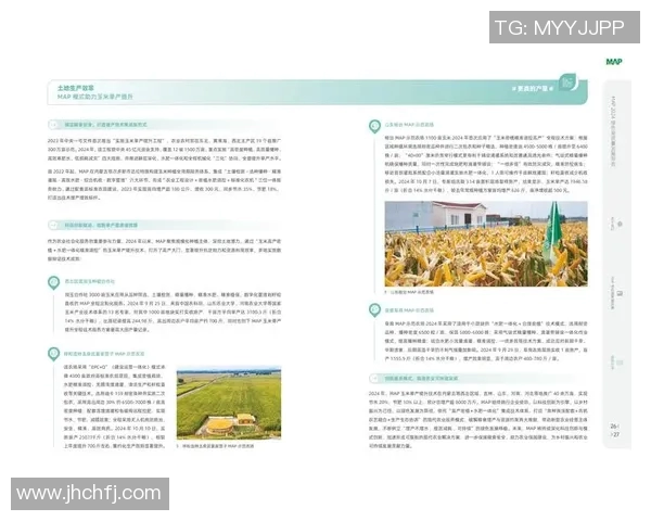 大米种植技术创新与可持续发展策略探索及其对农业经济的影响分析